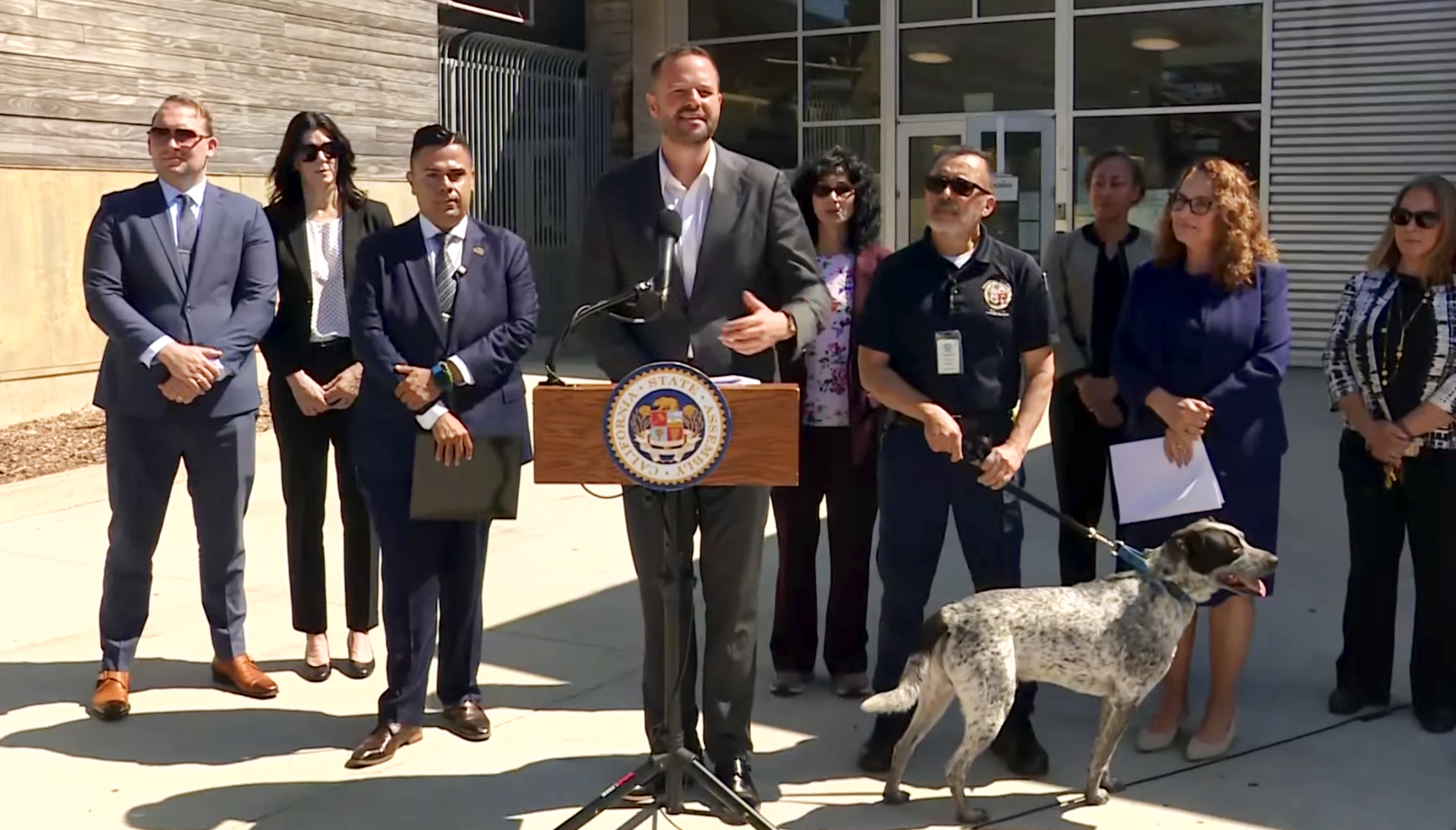 Haney bill aims to expedite adoption of animals rescued from abuse - The Voice of San Francisco